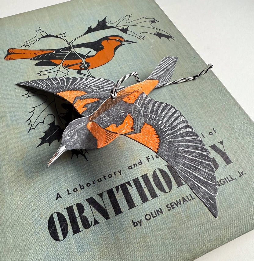 Oriole Pop-Out Bird Letterpress Greeting Card