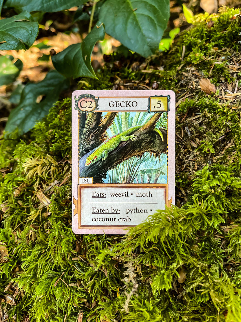Ecologies Hidden Habitats card game, food web card game, educational biology games, ecosystem building game, vintage science card game, nature-themed strategy game, Victorian art board game, environmental card games, 1-6 player ecology game, card game for science classrooms