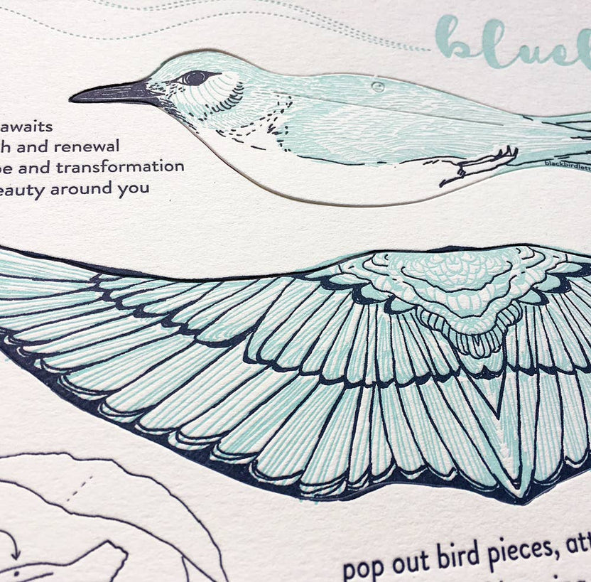 bluebird pop-out card, letterpress bluebird greeting card, bluebird symbolism happiness, renewal bird card, cotton paper pop-out card, light and dark blue letterpress, 3d bird ornament card, displayable bird paper craft, woodland bird greeting card, birthday bluebird card, artisan letterpress stationery, hanging bird ornament card, blackbird letterpress pop-out collection, rogue & rye nature cards, symbolic bird greeting card