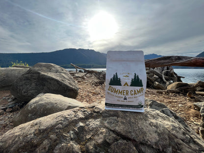 Campfire Coffee Mexico Chiapas, fair trade organic Mexican coffee, whole bean Campfire Coffee, Mexican Chiapas coffee 12oz, bright citrusy coffee beans, best coffee for game night, artisan roasted coffee Washington, Campfire Coffee Summer Camp blend, open flame roasted coffee, Campfire Explorers Club coffee
