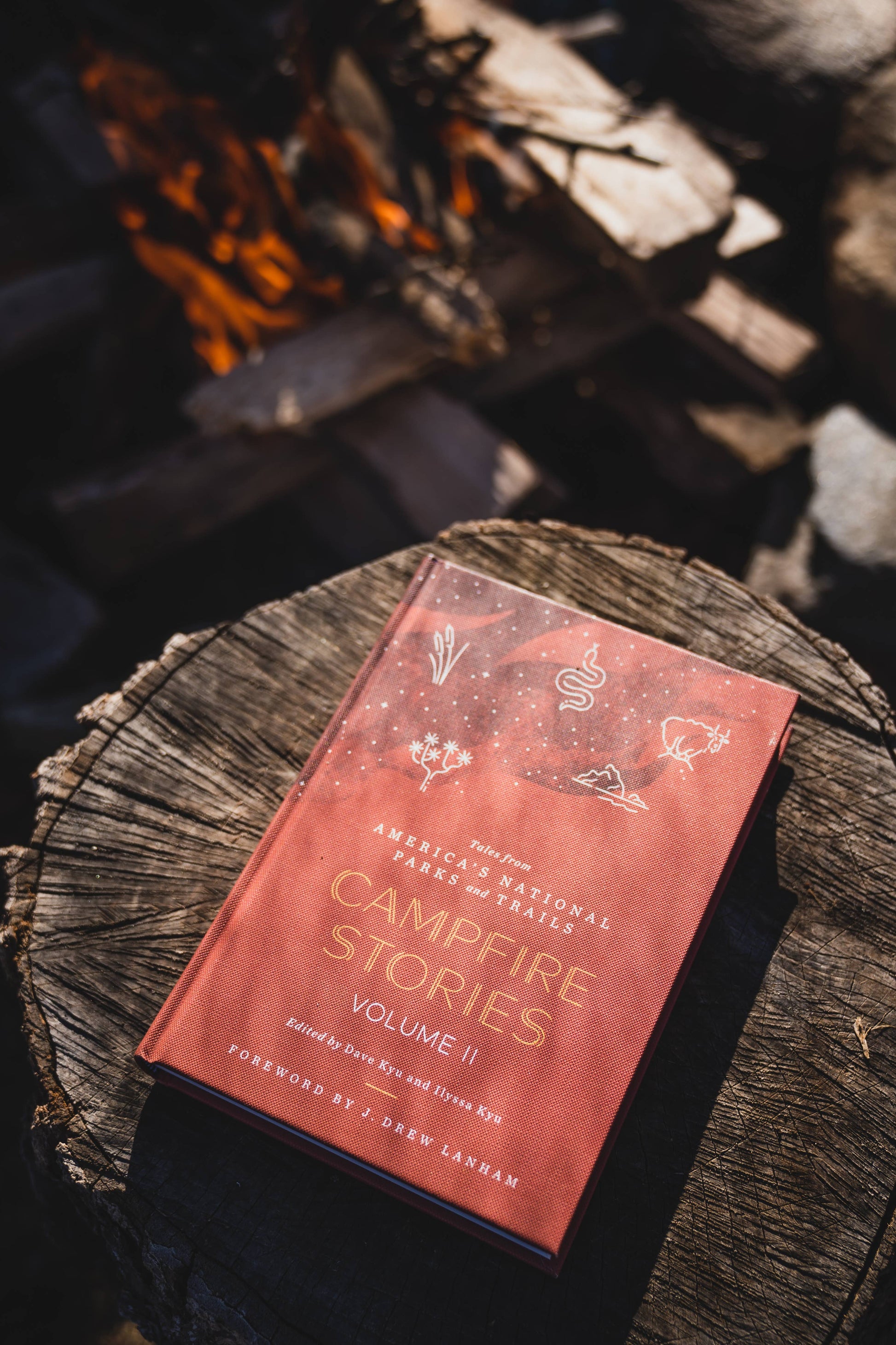 campfire stories volume ii, national parks storytelling book, modern nature writing, diverse voices in nature, bipoc lgbtq nature writers, contemporary campfire tales, poetry and folklore national parks, campfire stories anthology, trail stories and reflections, essays about national parks, stories from american wilderness, campfire reading collection, national park inspired literature, outdoor storytelling book, national parks prose and poetry