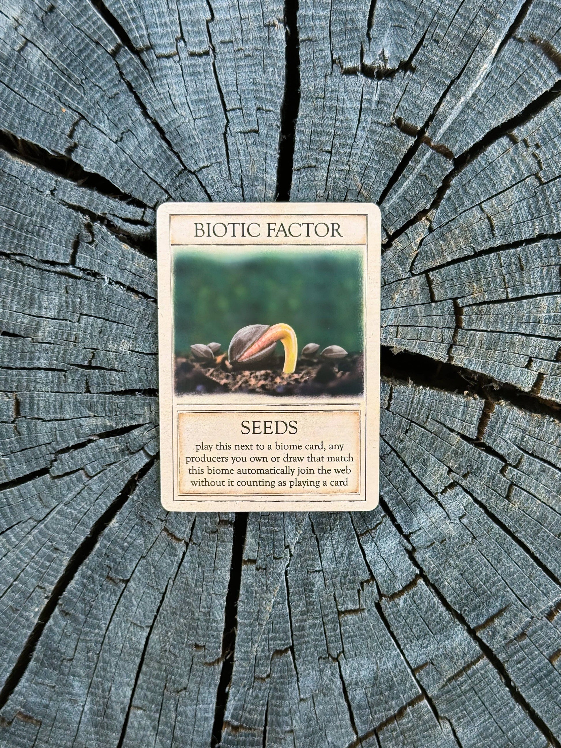 Ecologies Ancient Areas card game, extinct ecosystems game, fossil record educational game, paleoecology board game, ancient food web game, educational science card game, paleo-themed card game, STEM games for kids, biology teacher designed game, prehistoric ecosystems strategy game