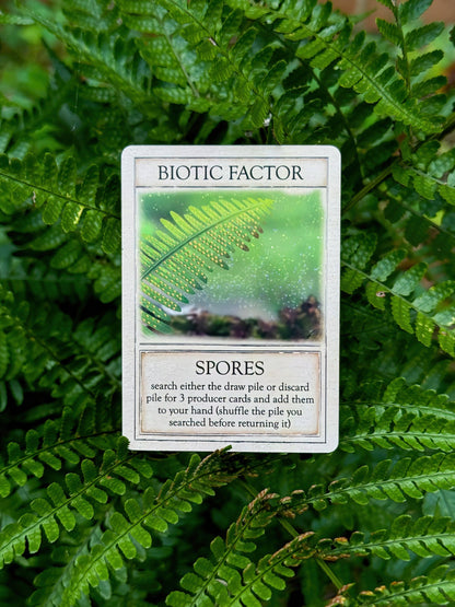 Ecologies Ancient Areas card game, extinct ecosystems game, fossil record educational game, paleoecology board game, ancient food web game, educational science card game, paleo-themed card game, STEM games for kids, biology teacher designed game, prehistoric ecosystems strategy game