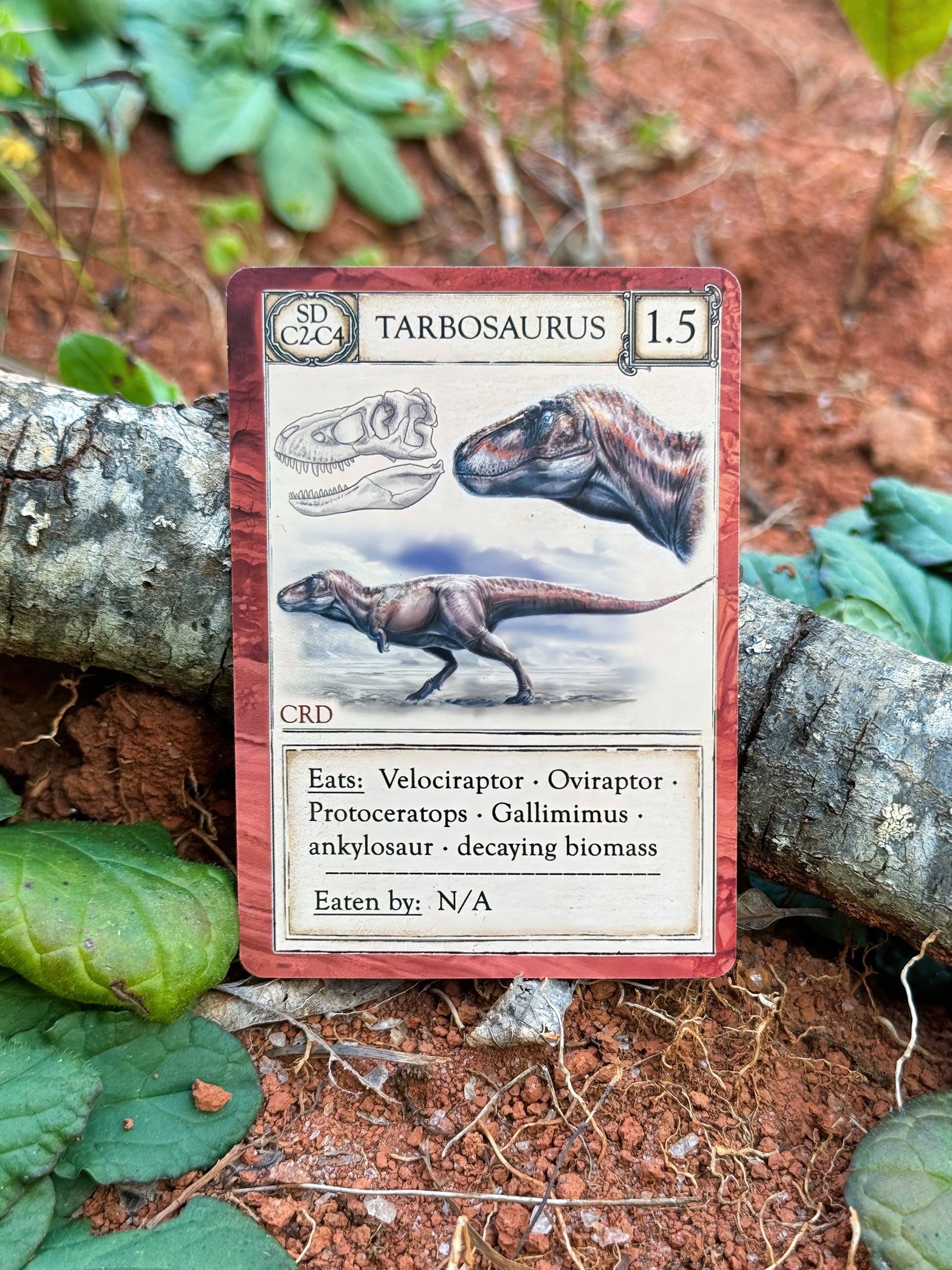 Ecologies Ancient Areas card game, extinct ecosystems game, fossil record educational game, paleoecology board game, ancient food web game, educational science card game, paleo-themed card game, STEM games for kids, biology teacher designed game, prehistoric ecosystems strategy game