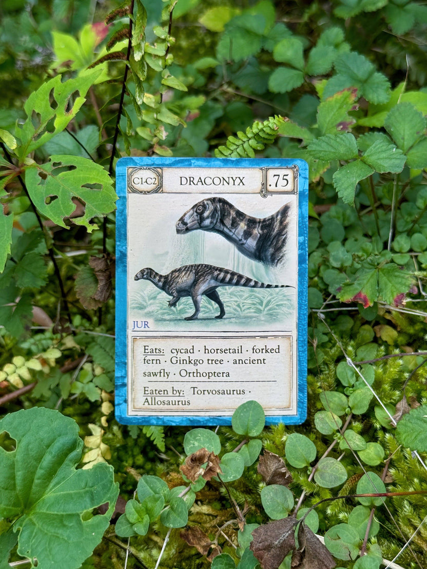 Ecologies Ancient Areas card game, extinct ecosystems game, fossil record educational game, paleoecology board game, ancient food web game, educational science card game, paleo-themed card game, STEM games for kids, biology teacher designed game, prehistoric ecosystems strategy game