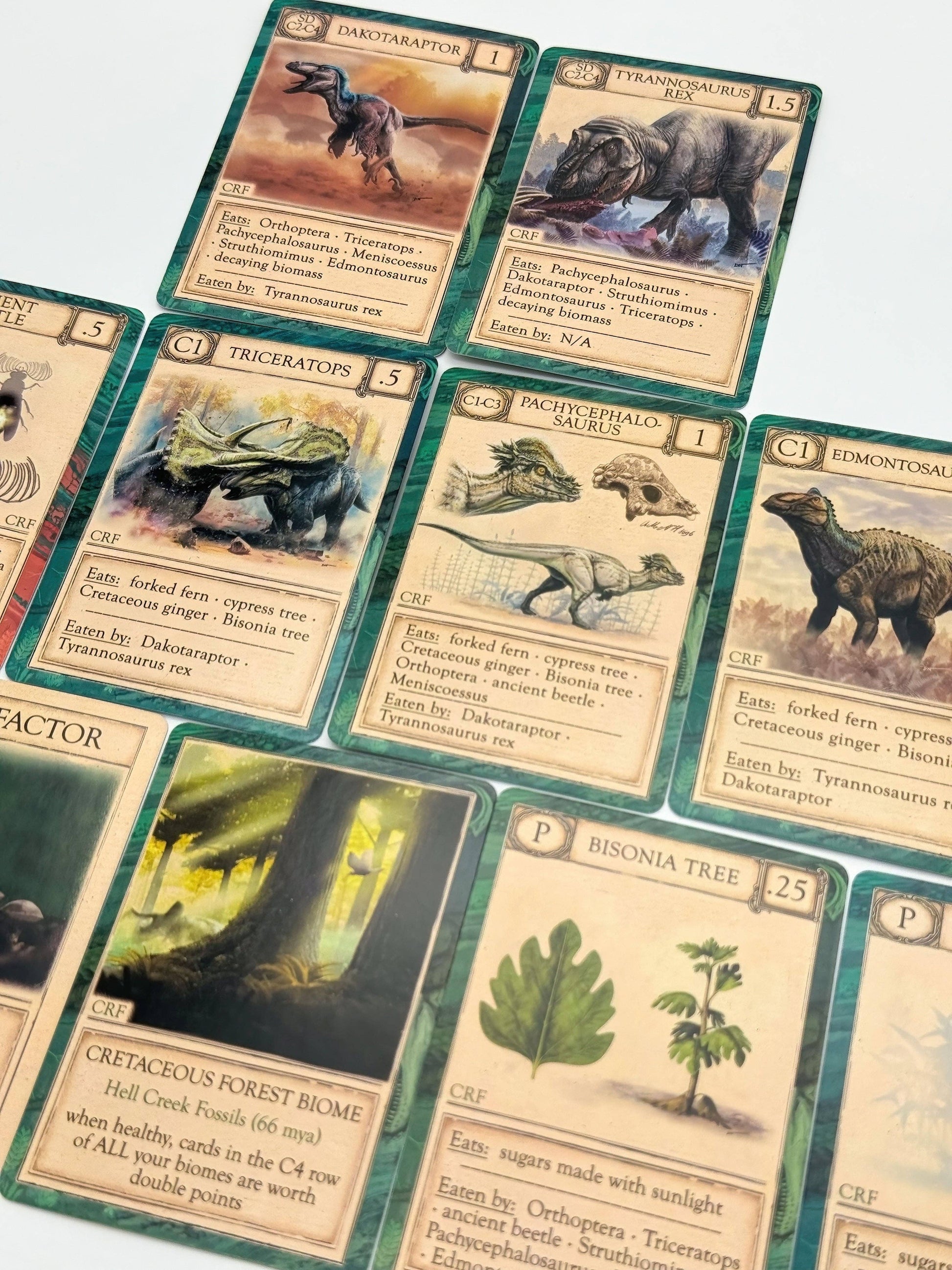 Ecologies Ancient Areas card game, extinct ecosystems game, fossil record educational game, paleoecology board game, ancient food web game, educational science card game, paleo-themed card game, STEM games for kids, biology teacher designed game, prehistoric ecosystems strategy game