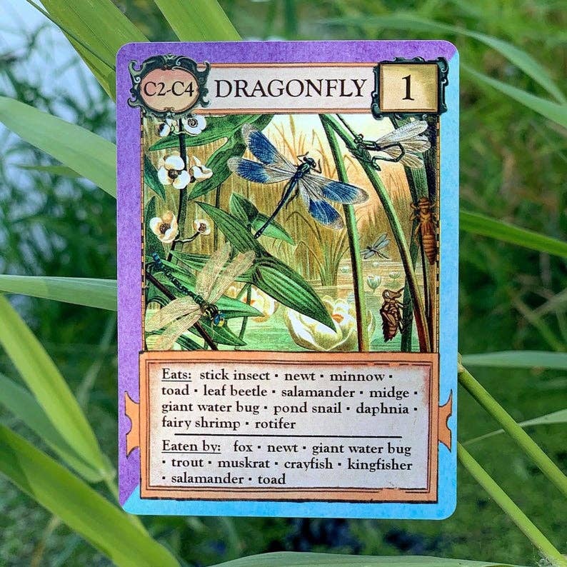 Ecologies Bizarre Biomes card game, food web card game, biology classroom games, science strategy card game, ecosystem board game, nature-themed educational game, vintage biology card art, homeschool science games, 1-6 player ecology game, real science tabletop game