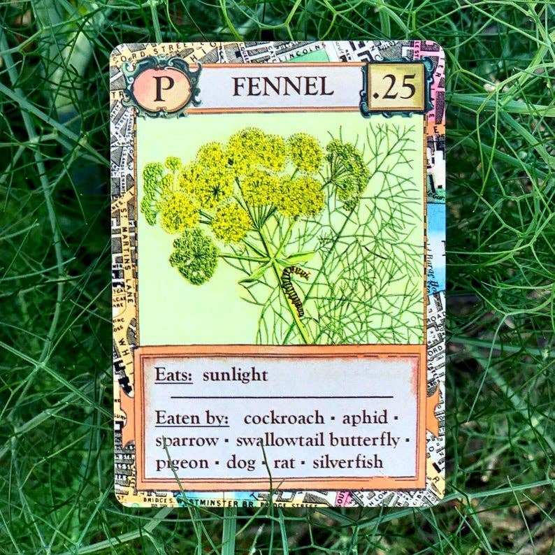 Ecologies Bizarre Biomes card game, food web card game, biology classroom games, science strategy card game, ecosystem board game, nature-themed educational game, vintage biology card art, homeschool science games, 1-6 player ecology game, real science tabletop game