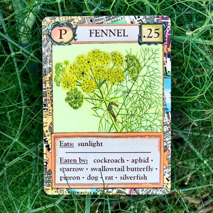 Ecologies Bizarre Biomes card game, food web card game, biology classroom games, science strategy card game, ecosystem board game, nature-themed educational game, vintage biology card art, homeschool science games, 1-6 player ecology game, real science tabletop game