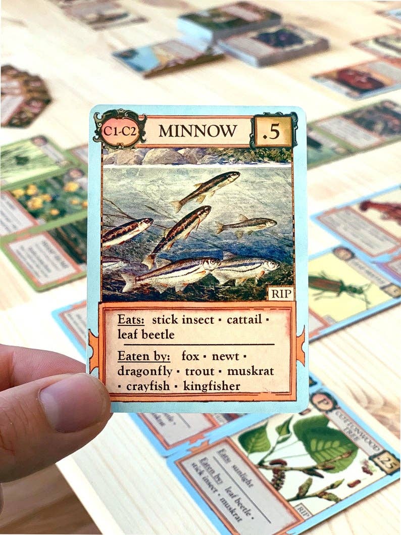 Ecologies Bizarre Biomes card game, food web card game, biology classroom games, science strategy card game, ecosystem board game, nature-themed educational game, vintage biology card art, homeschool science games, 1-6 player ecology game, real science tabletop game