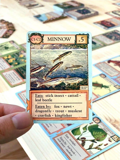 Ecologies Bizarre Biomes card game, food web card game, biology classroom games, science strategy card game, ecosystem board game, nature-themed educational game, vintage biology card art, homeschool science games, 1-6 player ecology game, real science tabletop game