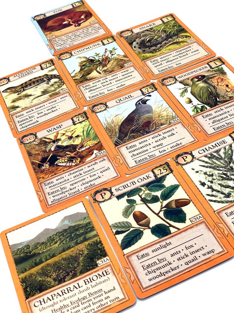 Ecologies Bizarre Biomes card game, food web card game, biology classroom games, science strategy card game, ecosystem board game, nature-themed educational game, vintage biology card art, homeschool science games, 1-6 player ecology game, real science tabletop game