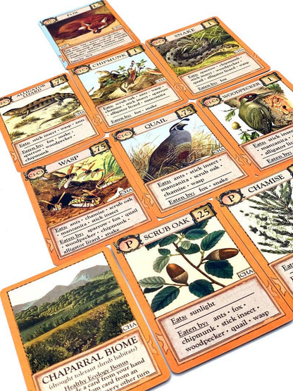 Ecologies Bizarre Biomes card game, food web card game, biology classroom games, science strategy card game, ecosystem board game, nature-themed educational game, vintage biology card art, homeschool science games, 1-6 player ecology game, real science tabletop game