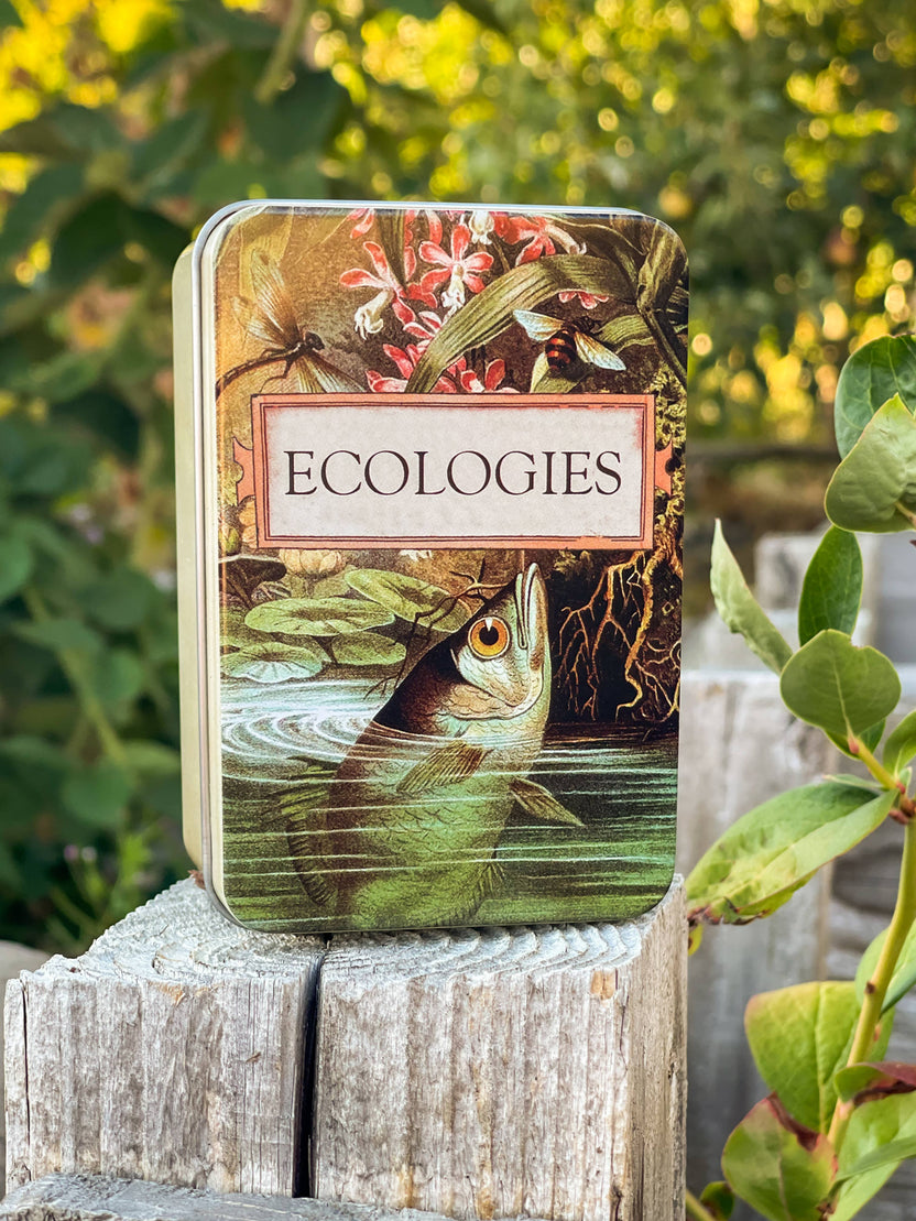 Ecologies card game tin, metal card storage box, Ecologies deck holder, travel card game tin, Archerfish tin for cards, biology game accessories, card game collector tin, waterproof card storage, Ecologies tin container, educational game storage box