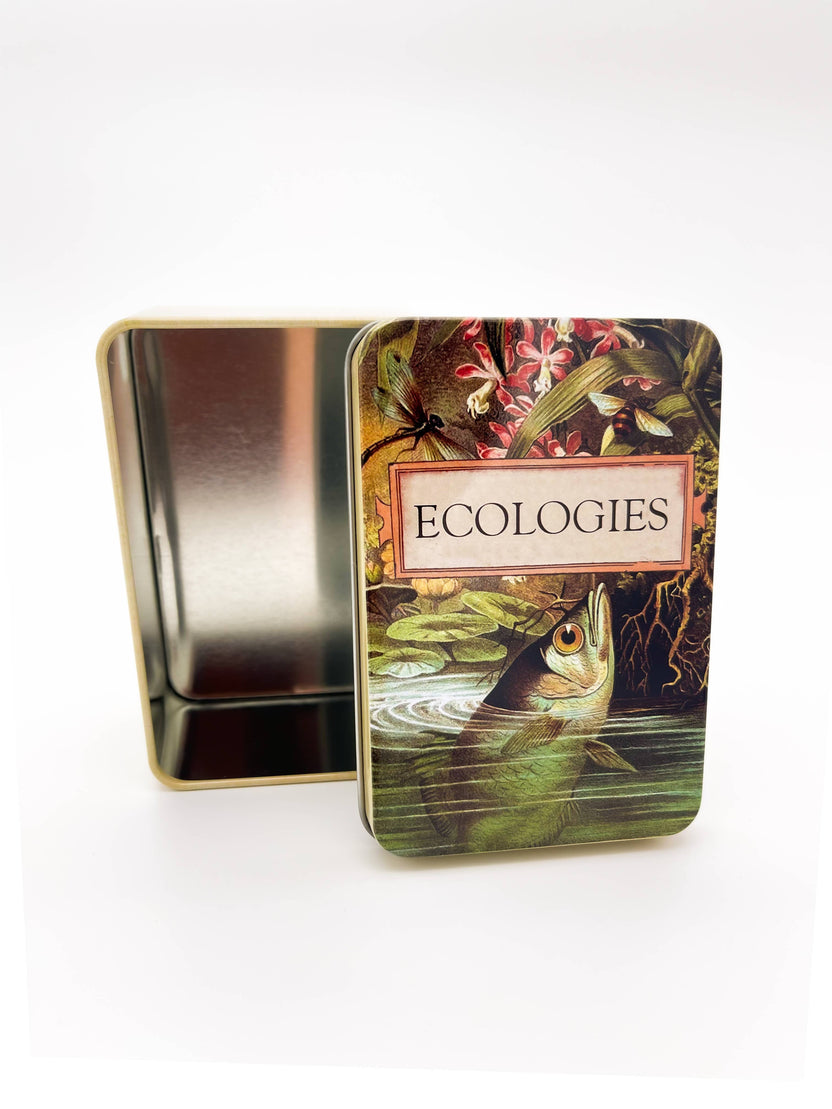 Ecologies card game tin, metal card storage box, Ecologies deck holder, travel card game tin, Archerfish tin for cards, biology game accessories, card game collector tin, waterproof card storage, Ecologies tin container, educational game storage box