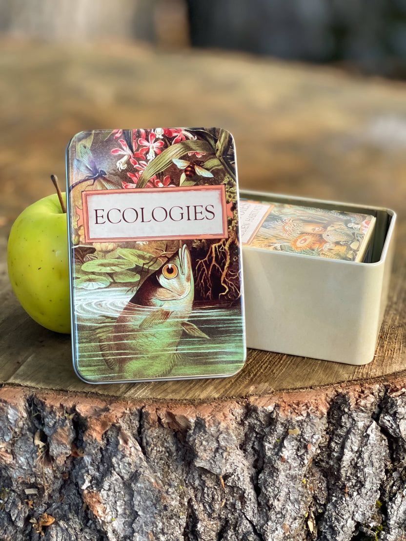 Ecologies card game tin, metal card storage box, Ecologies deck holder, travel card game tin, Archerfish tin for cards, biology game accessories, card game collector tin, waterproof card storage, Ecologies tin container, educational game storage box