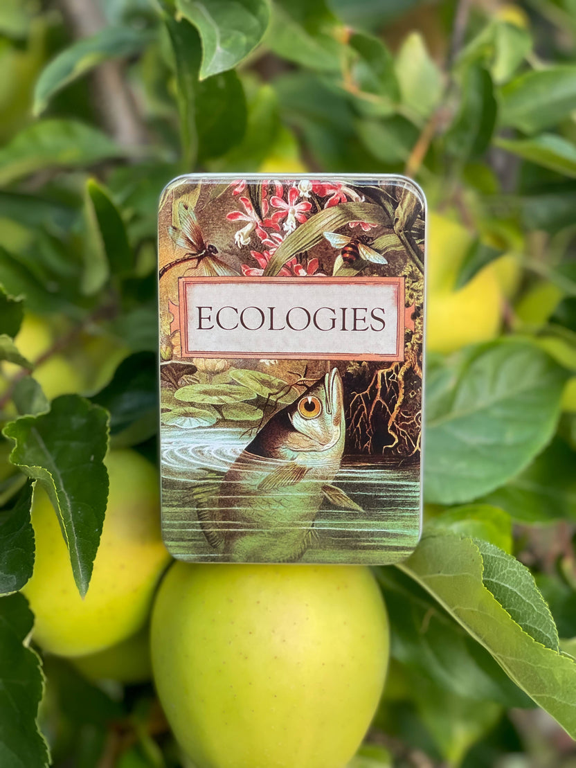 Ecologies card game tin, metal card storage box, Ecologies deck holder, travel card game tin, Archerfish tin for cards, biology game accessories, card game collector tin, waterproof card storage, Ecologies tin container, educational game storage box