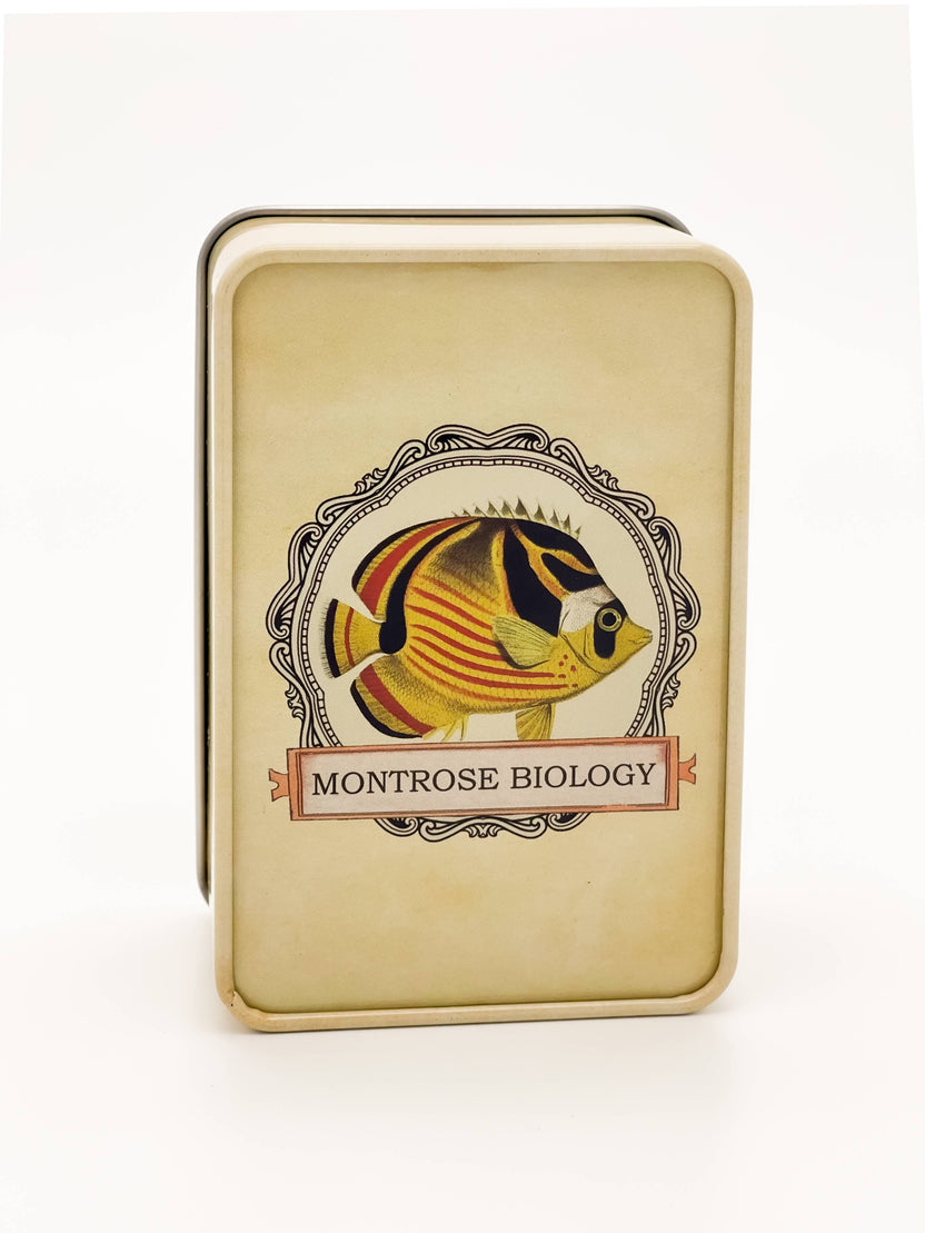 Ecologies card game tin, metal card storage box, Ecologies deck holder, travel card game tin, Archerfish tin for cards, biology game accessories, card game collector tin, waterproof card storage, Ecologies tin container, educational game storage box