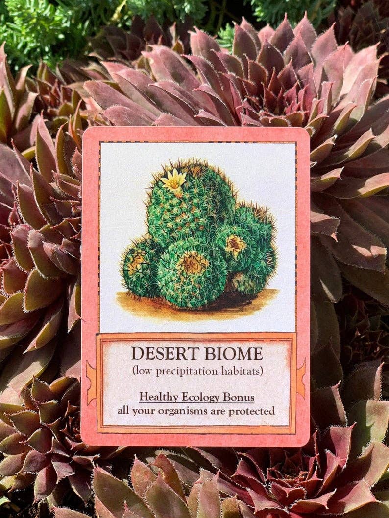 Ecologies card game, educational ecology game, food web game, science strategy card game, biology classroom game, homeschool science activity, ecosystem board game, nature card game, environmental science game, biology teaching tools