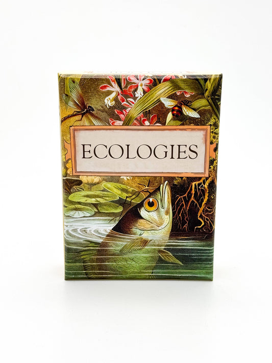 Ecologies card game, educational ecology game, food web game, science strategy card game, biology classroom game, homeschool science activity, ecosystem board game, nature card game, environmental science game, biology teaching tools