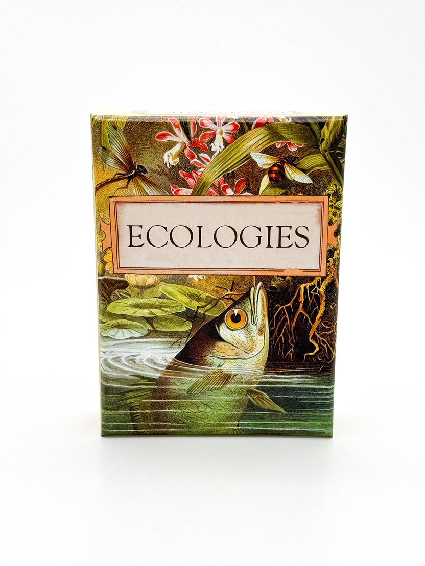 Ecologies card game, educational ecology game, food web game, science strategy card game, biology classroom game, homeschool science activity, ecosystem board game, nature card game, environmental science game, biology teaching tools