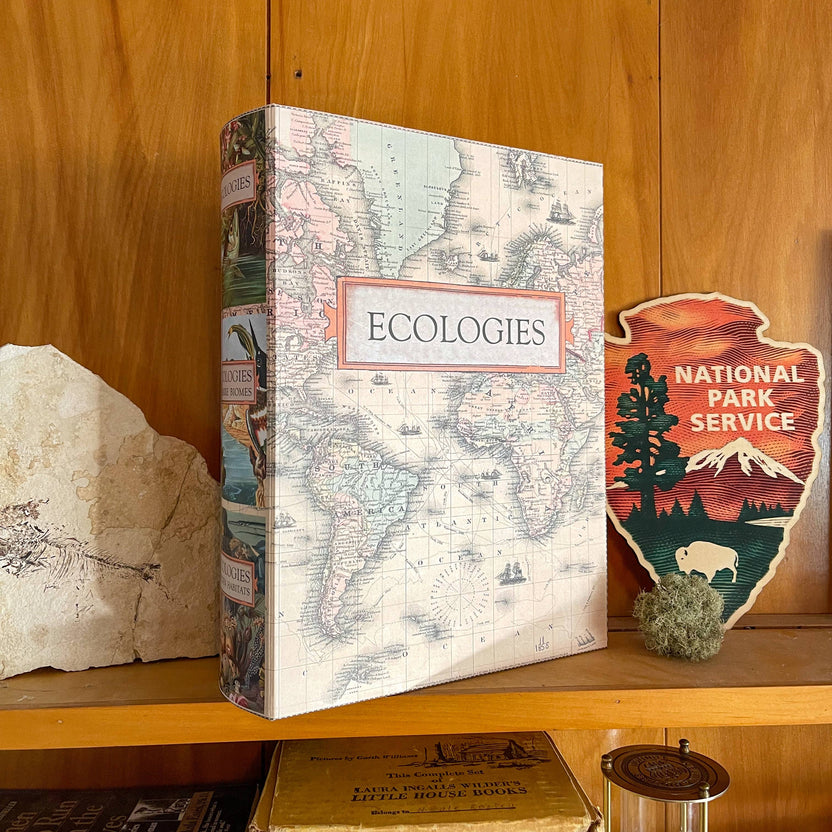 Ecologies card game organizer, faux book box card storage, vintage book game organizer, poker card storage box, ecological card game accessory, tuck box storage container, magnetic closure card holder, deck box for Ecologies games, antique map book box, card game collector case, stylish card deck organizer