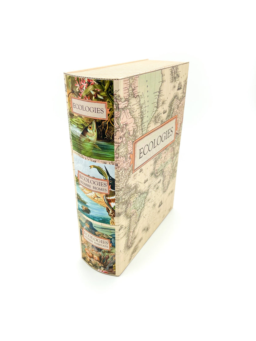 Ecologies card game organizer, faux book box card storage, vintage book game organizer, poker card storage box, ecological card game accessory, tuck box storage container, magnetic closure card holder, deck box for Ecologies games, antique map book box, card game collector case, stylish card deck organizer