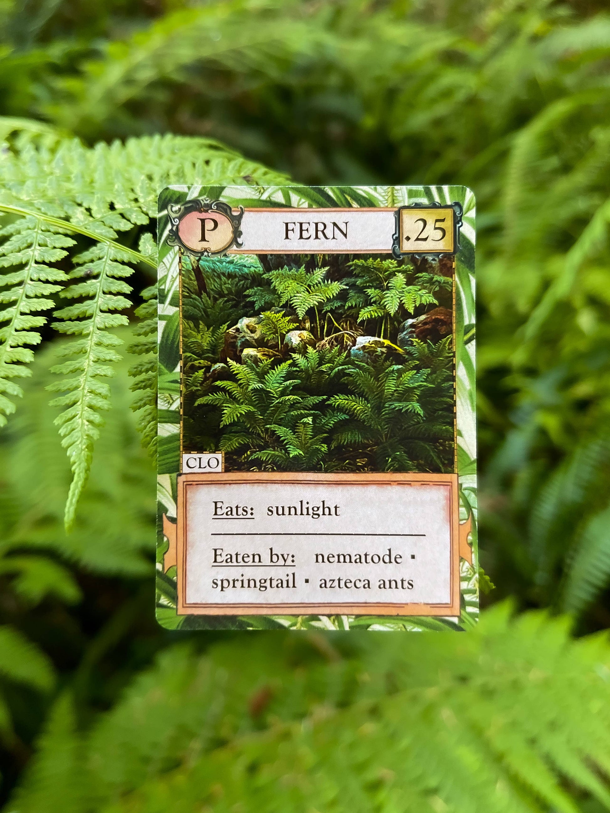 Ecologies Hidden Habitats card game, food web card game, educational biology games, ecosystem building game, vintage science card game, nature-themed strategy game, Victorian art board game, environmental card games, 1-6 player ecology game, card game for science classrooms