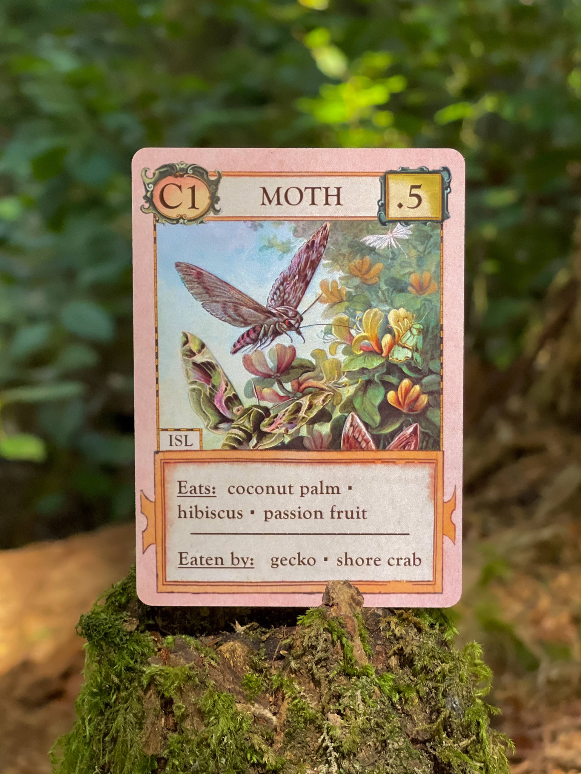 Ecologies Hidden Habitats card game, food web card game, educational biology games, ecosystem building game, vintage science card game, nature-themed strategy game, Victorian art board game, environmental card games, 1-6 player ecology game, card game for science classrooms