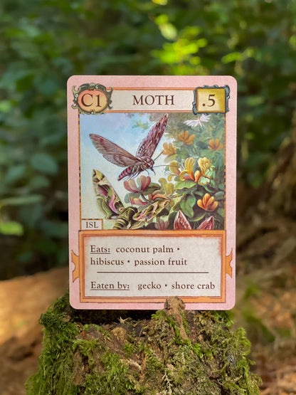 Ecologies Hidden Habitats card game, food web card game, educational biology games, ecosystem building game, vintage science card game, nature-themed strategy game, Victorian art board game, environmental card games, 1-6 player ecology game, card game for science classrooms