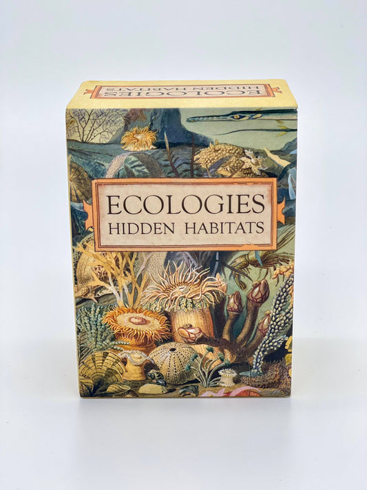 Ecologies Hidden Habitats card game, food web card game, educational biology games, ecosystem building game, vintage science card game, nature-themed strategy game, Victorian art board game, environmental card games, 1-6 player ecology game, card game for science classrooms
