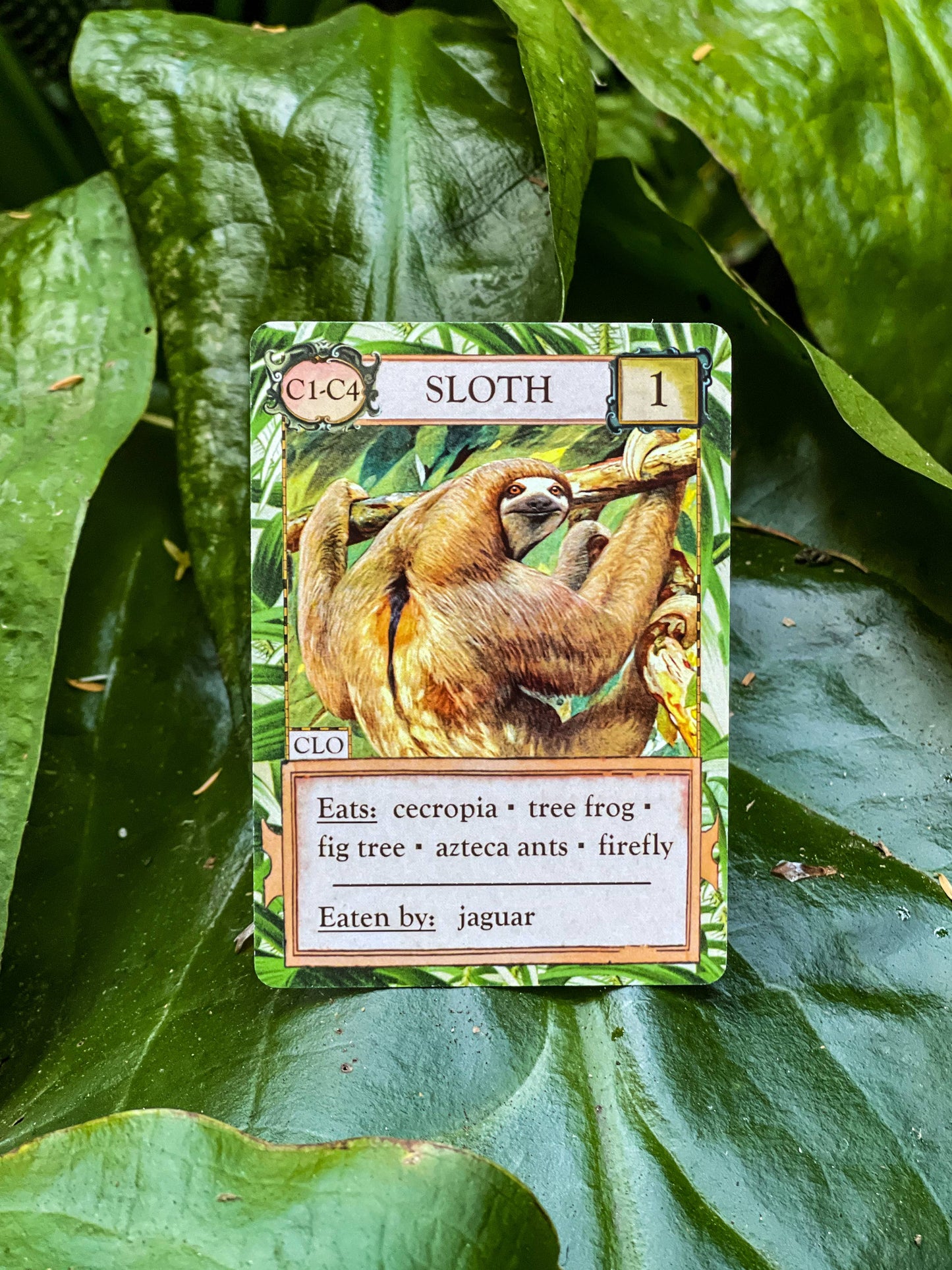 Ecologies Hidden Habitats card game, food web card game, educational biology games, ecosystem building game, vintage science card game, nature-themed strategy game, Victorian art board game, environmental card games, 1-6 player ecology game, card game for science classrooms