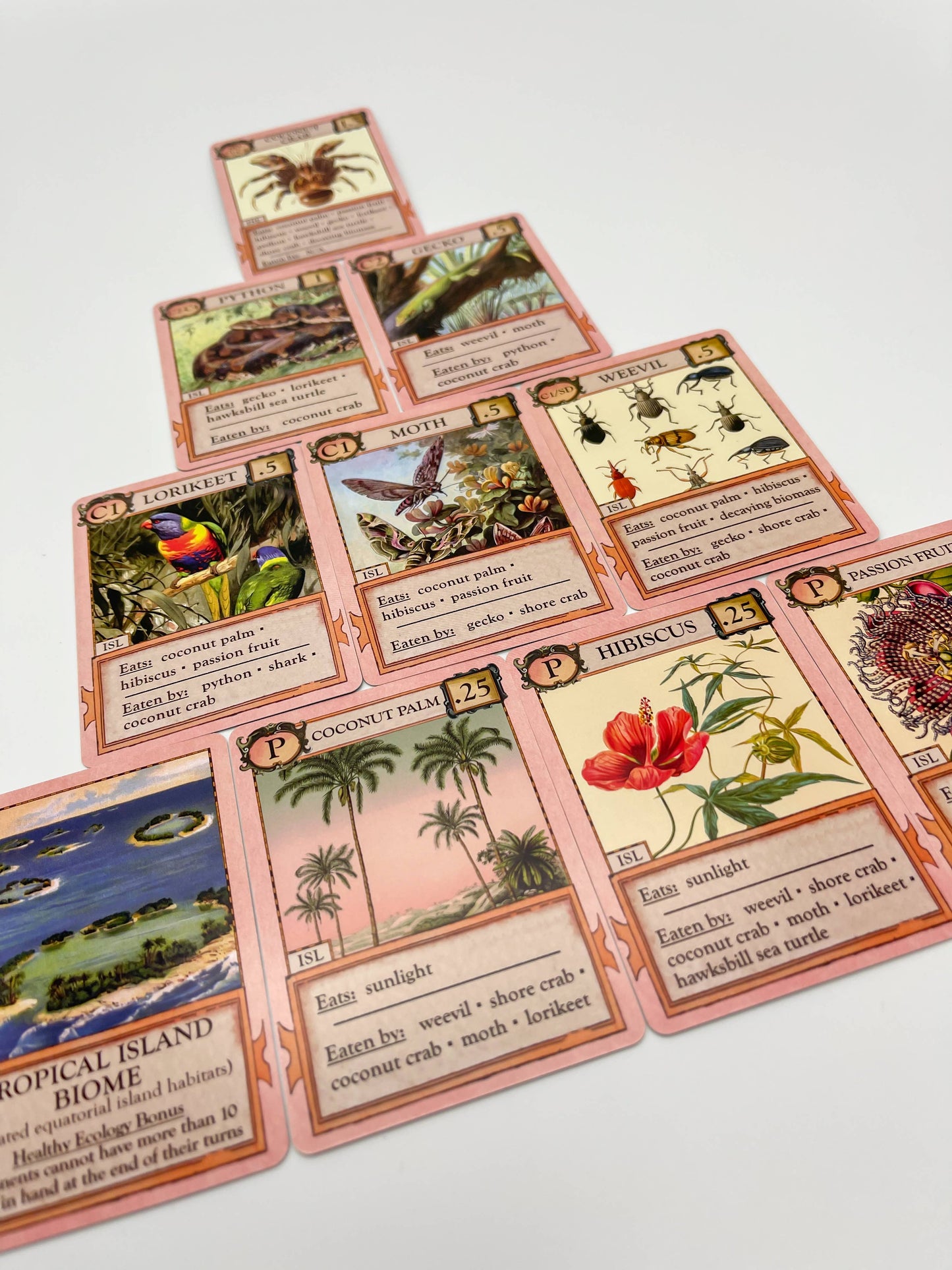 Ecologies Hidden Habitats card game, food web card game, educational biology games, ecosystem building game, vintage science card game, nature-themed strategy game, Victorian art board game, environmental card games, 1-6 player ecology game, card game for science classrooms