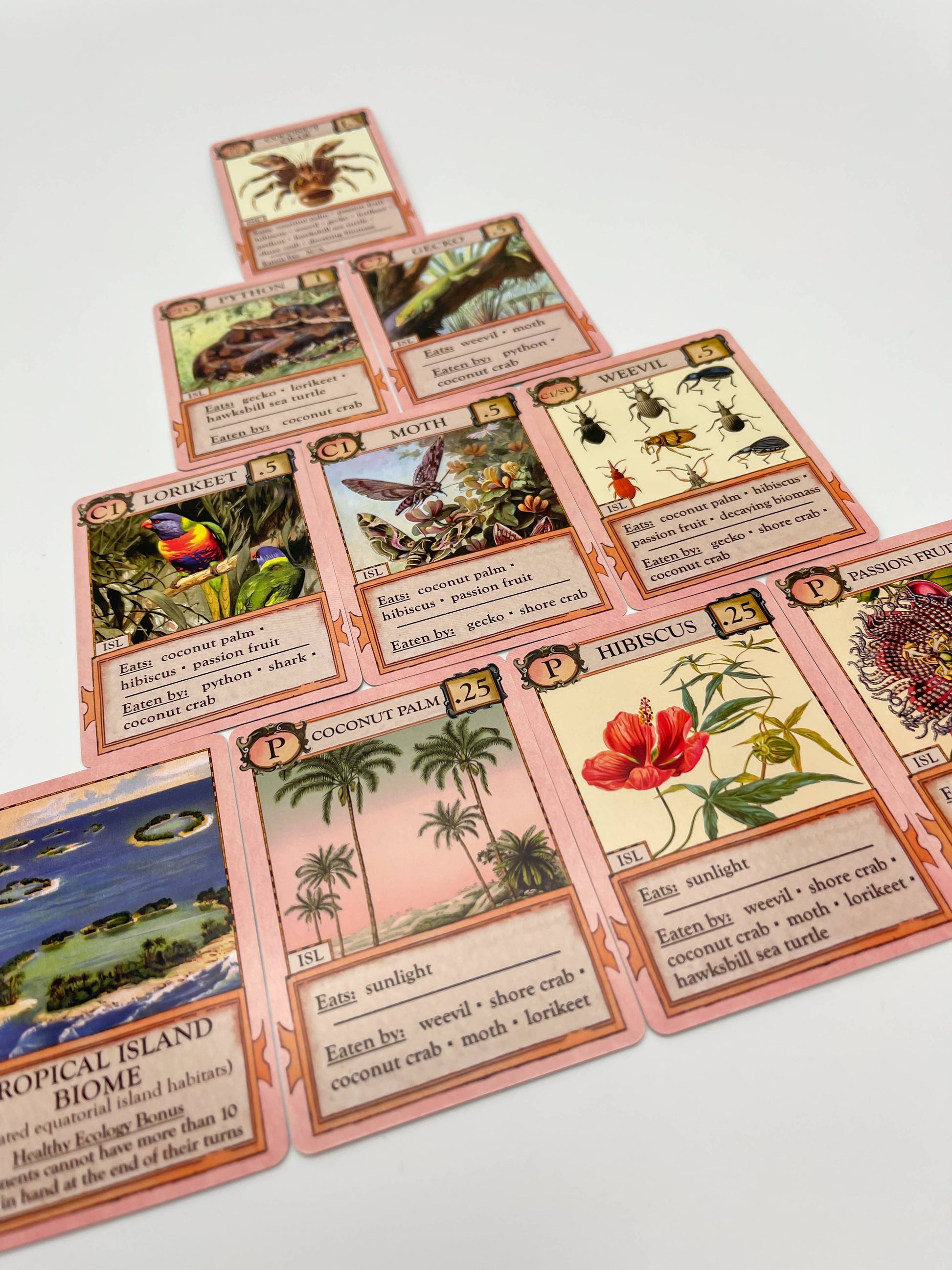 Ecologies Hidden Habitats card game, food web card game, educational biology games, ecosystem building game, vintage science card game, nature-themed strategy game, Victorian art board game, environmental card games, 1-6 player ecology game, card game for science classrooms