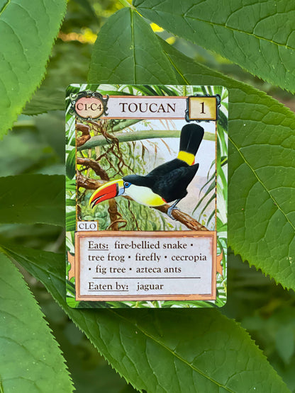 Ecologies Hidden Habitats card game, food web card game, educational biology games, ecosystem building game, vintage science card game, nature-themed strategy game, Victorian art board game, environmental card games, 1-6 player ecology game, card game for science classrooms
