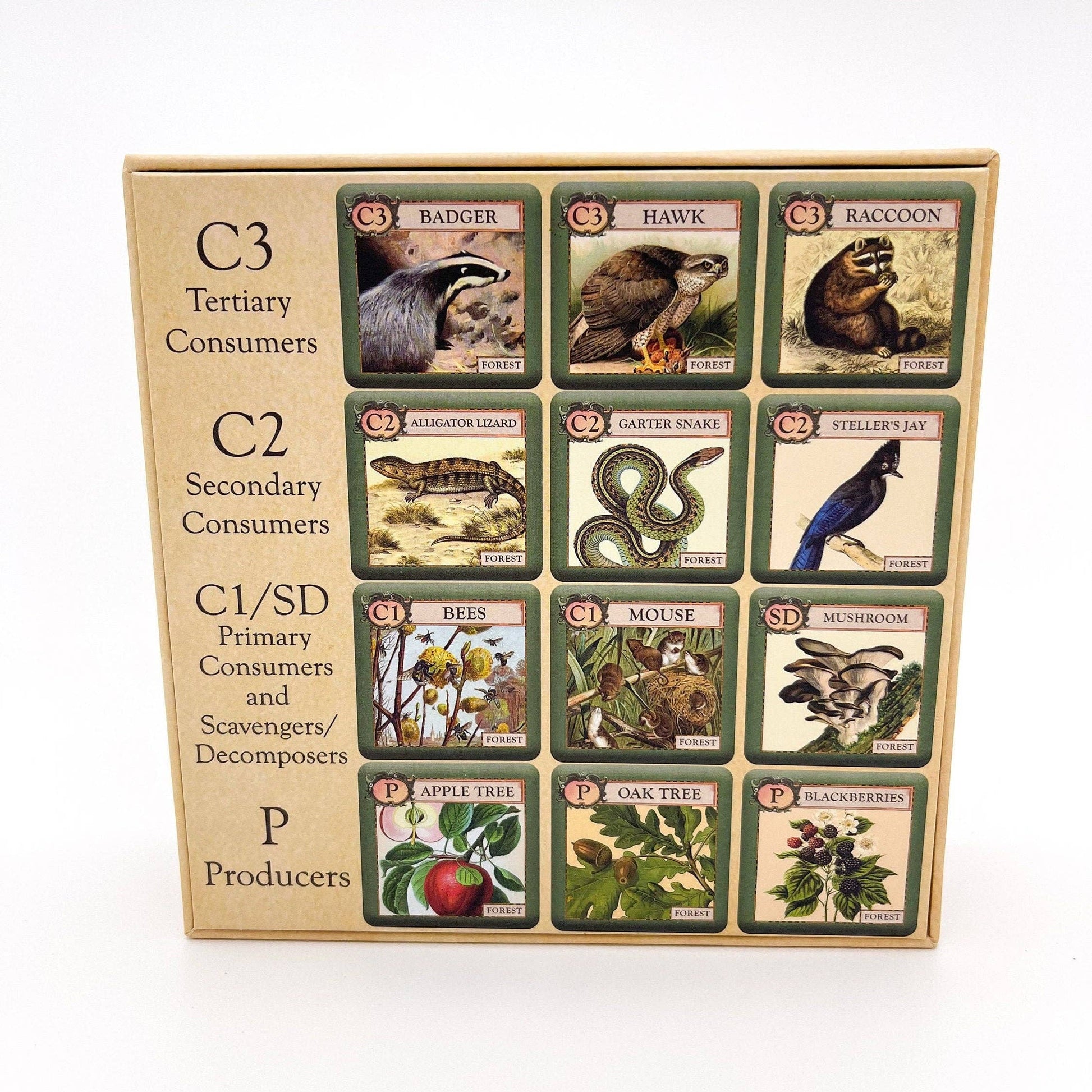 ecologies junior forest game, kids ecology game, forest food web tiles, memory matching game nature, science game for preschool, homeschool science activity, elementary biology game, trophic level learning, ecology game for kids, outdoor school learning tools, educational forest tile game