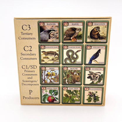 ecologies junior forest game, kids ecology game, forest food web tiles, memory matching game nature, science game for preschool, homeschool science activity, elementary biology game, trophic level learning, ecology game for kids, outdoor school learning tools, educational forest tile game