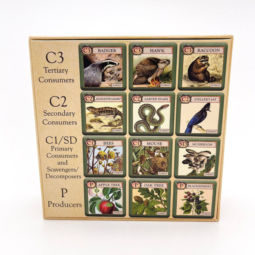 ecologies junior forest game, kids ecology game, forest food web tiles, memory matching game nature, science game for preschool, homeschool science activity, elementary biology game, trophic level learning, ecology game for kids, outdoor school learning tools, educational forest tile game