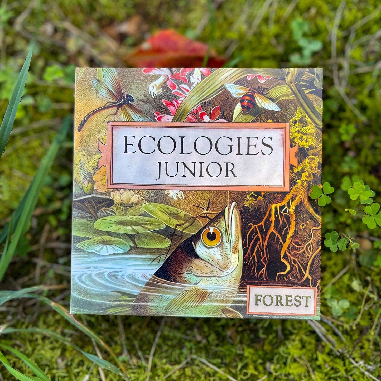 ecologies junior forest game, kids ecology game, forest food web tiles, memory matching game nature, science game for preschool, homeschool science activity, elementary biology game, trophic level learning, ecology game for kids, outdoor school learning tools, educational forest tile game