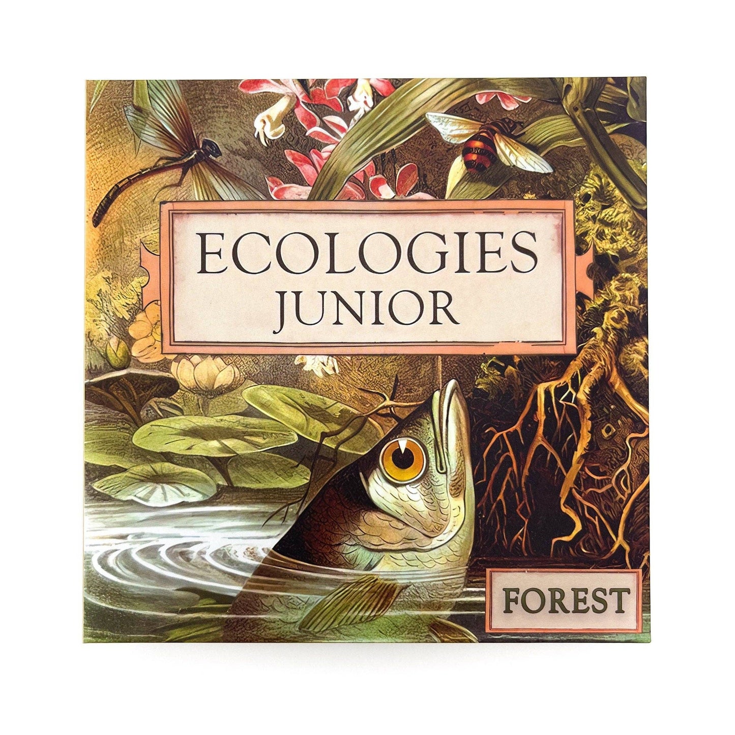 ecologies junior forest game, kids ecology game, forest food web tiles, memory matching game nature, science game for preschool, homeschool science activity, elementary biology game, trophic level learning, ecology game for kids, outdoor school learning tools, educational forest tile game