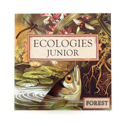 ecologies junior forest game, kids ecology game, forest food web tiles, memory matching game nature, science game for preschool, homeschool science activity, elementary biology game, trophic level learning, ecology game for kids, outdoor school learning tools, educational forest tile game
