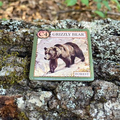 ecologies junior forest game, kids ecology game, forest food web tiles, memory matching game nature, science game for preschool, homeschool science activity, elementary biology game, trophic level learning, ecology game for kids, outdoor school learning tools, educational forest tile game