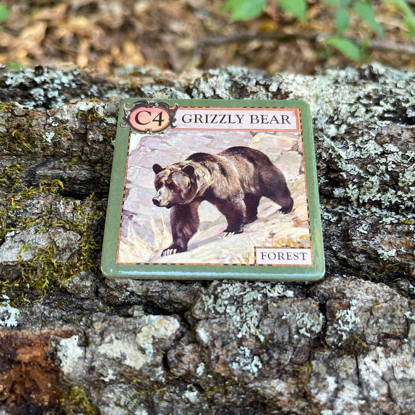 ecologies junior forest game, kids ecology game, forest food web tiles, memory matching game nature, science game for preschool, homeschool science activity, elementary biology game, trophic level learning, ecology game for kids, outdoor school learning tools, educational forest tile game