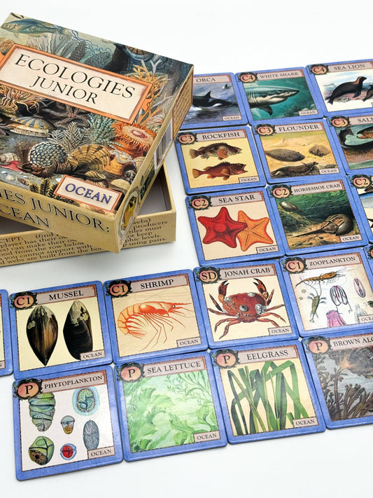 Ecologies Junior Ocean game, ocean ecology game for kids, educational memory game, food web tile game, ocean-themed matching game, homeschool ocean curriculum, preschool science game, cooperative ecology game, ocean biology game for classrooms, learning food chains for children
