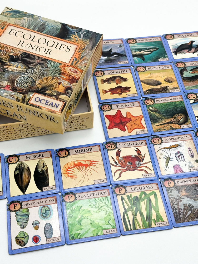 Ecologies Junior Ocean game, ocean ecology game for kids, educational memory game, food web tile game, ocean-themed matching game, homeschool ocean curriculum, preschool science game, cooperative ecology game, ocean biology game for classrooms, learning food chains for children