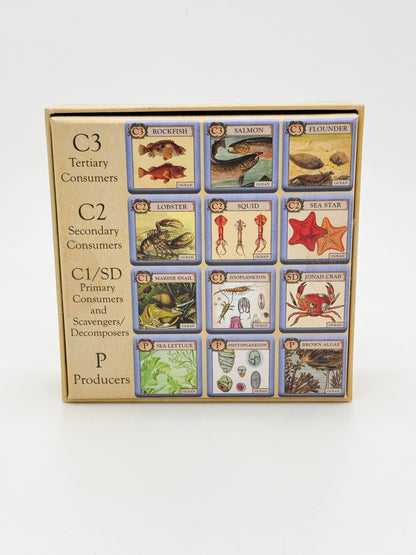 Ecologies Junior Ocean game, ocean ecology game for kids, educational memory game, food web tile game, ocean-themed matching game, homeschool ocean curriculum, preschool science game, cooperative ecology game, ocean biology game for classrooms, learning food chains for children