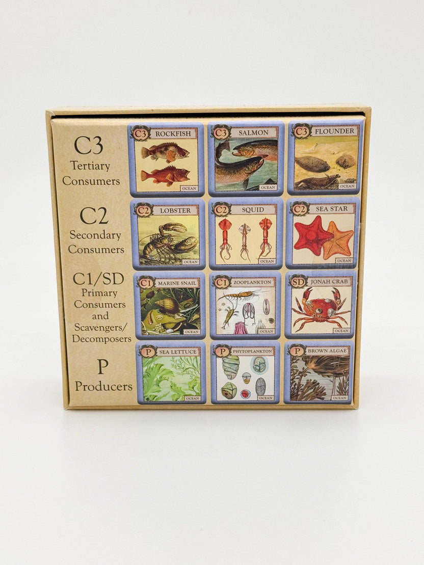 Ecologies Junior Ocean game, ocean ecology game for kids, educational memory game, food web tile game, ocean-themed matching game, homeschool ocean curriculum, preschool science game, cooperative ecology game, ocean biology game for classrooms, learning food chains for children