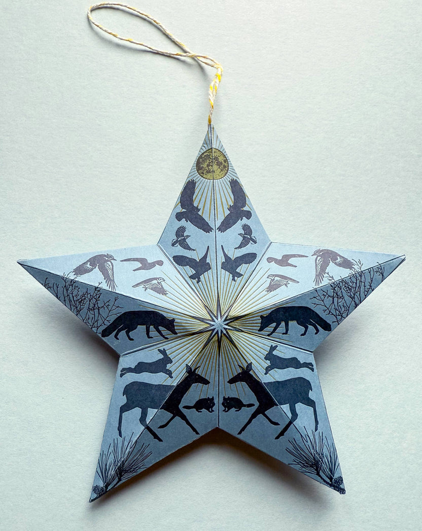 Holiday Solstice Star DIY Paper Ornament Kit