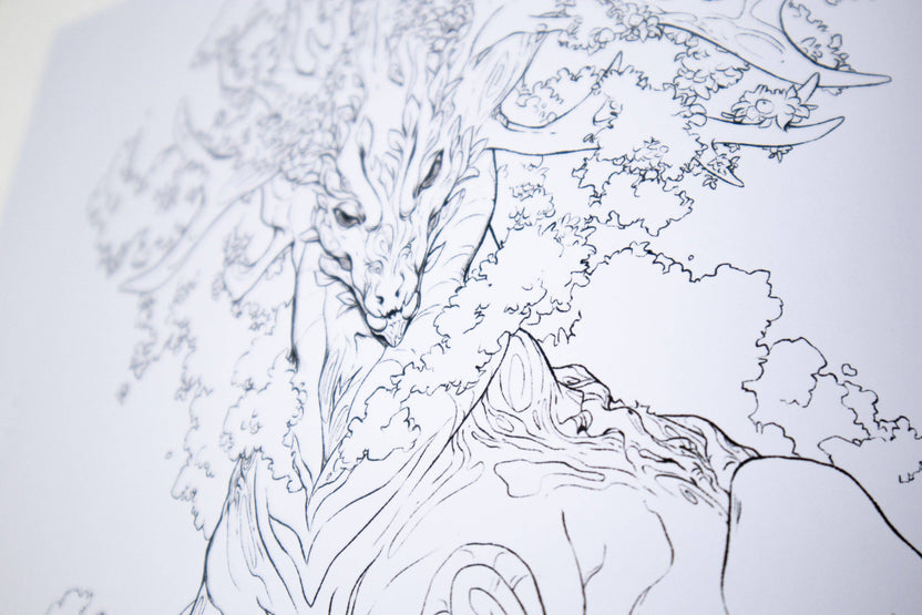 Detailed floral dragon line drawing from the coloring book