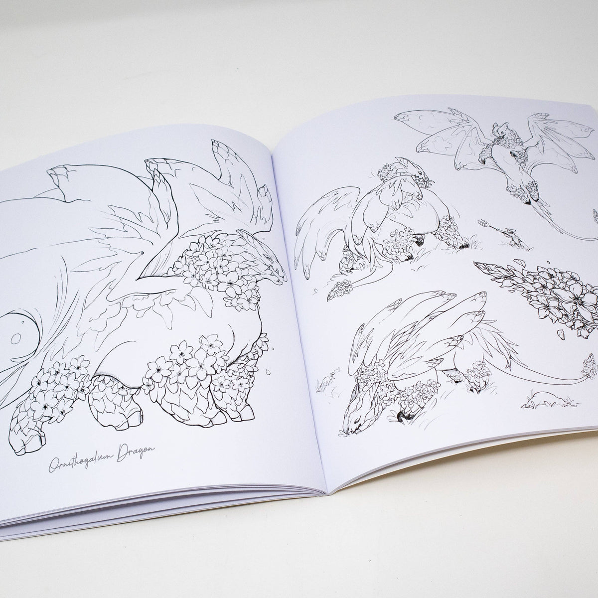 Black-and-white Floral Dragon coloring pages with detailed botanical line art